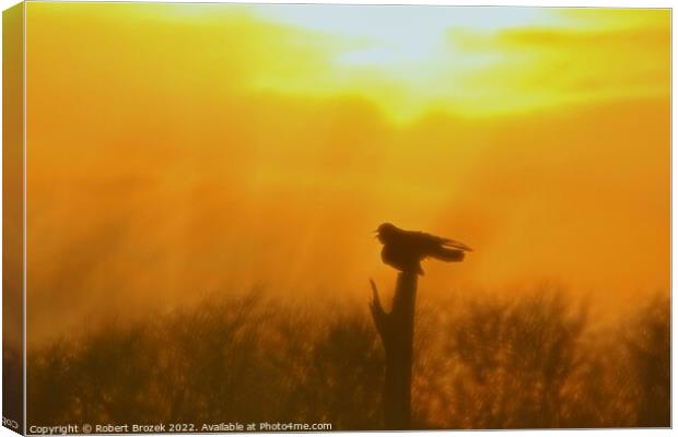 Outdoor Sunset with Bird silhouette on post Canvas Print by Robert Brozek