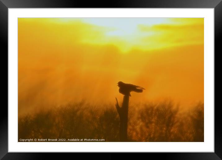 Outdoor Sunset with Bird silhouette on post Framed Mounted Print by Robert Brozek