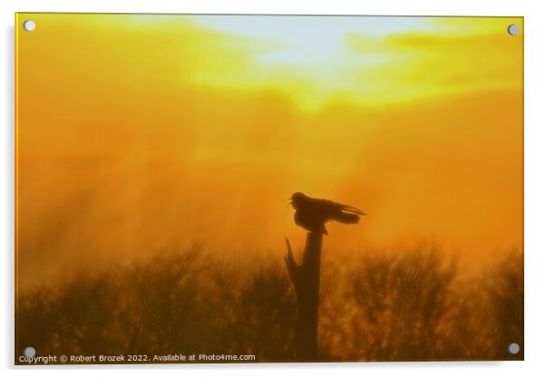 Outdoor Sunset with Bird silhouette on post Acrylic by Robert Brozek