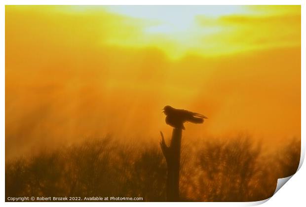 Outdoor Sunset with Bird silhouette on post Print by Robert Brozek