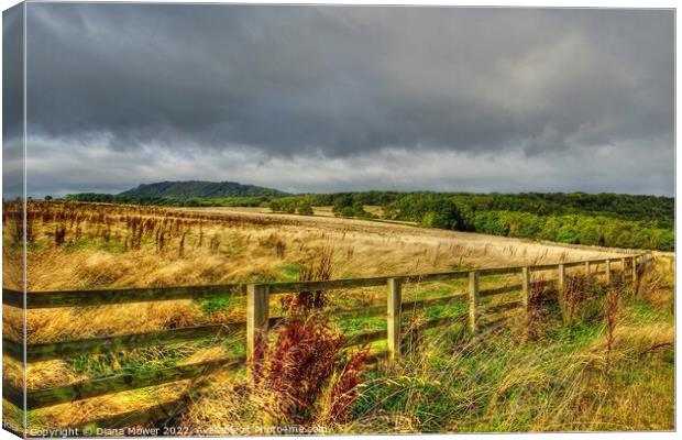  Shropshire Hills and Countryside Canvas Print by Diana Mower