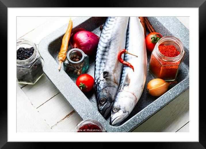 Fresh, raw mackerel fish Framed Mounted Print by Mykola Lunov Mykola