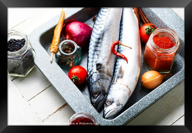 Fresh, raw mackerel fish Framed Print by Mykola Lunov Mykola