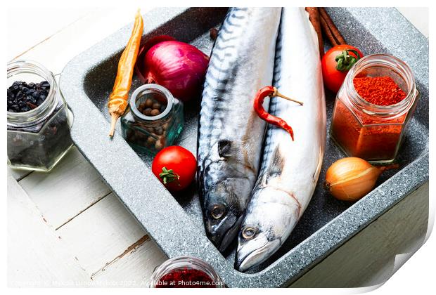 Fresh, raw mackerel fish Print by Mykola Lunov Mykola