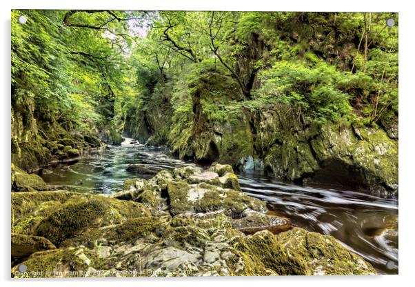 Fairy Glen Snowdonia Wales Acrylic by jim Hamilton