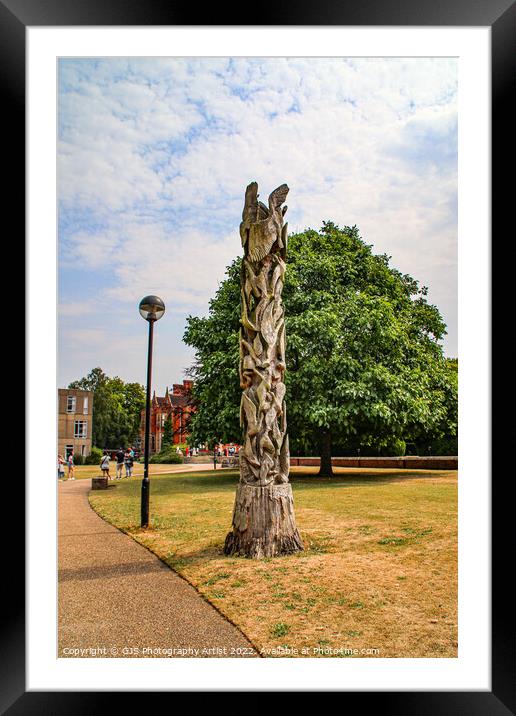Sculpture From A Tree Framed Mounted Print by GJS Photography Artist