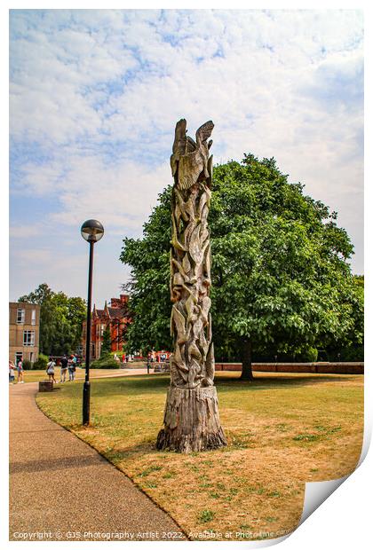 Sculpture From A Tree Print by GJS Photography Artist