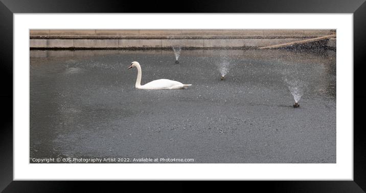 Swan Enjoying the Fountain on Hot July Day Framed Mounted Print by GJS Photography Artist
