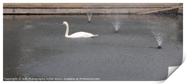 Swan Enjoying the Fountain on Hot July Day Print by GJS Photography Artist