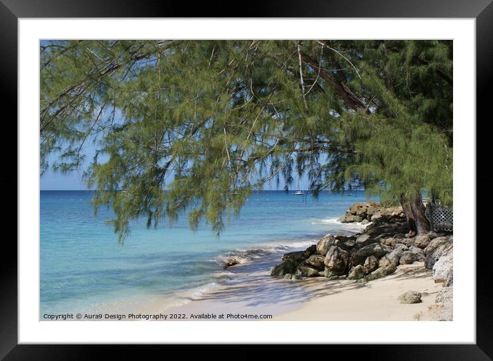 Caribbean Beach Front Tree Framed Mounted Print by Aura9 Design Photography