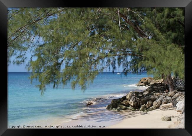 Caribbean Beach Front Tree Framed Print by Aura9 Design Photography