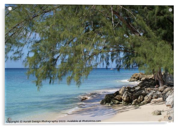 Caribbean Beach Front Tree Acrylic by Aura9 Design Photography