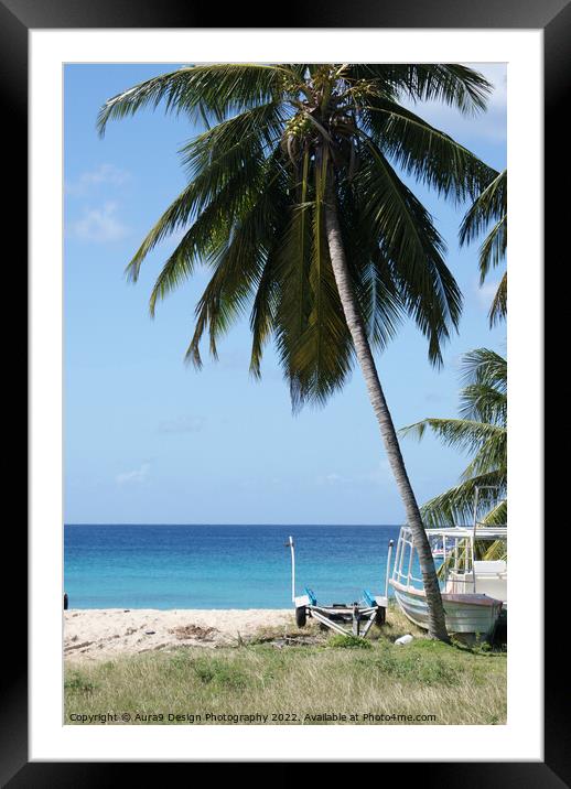 Caribbean Calm Framed Mounted Print by Aura9 Design Photography