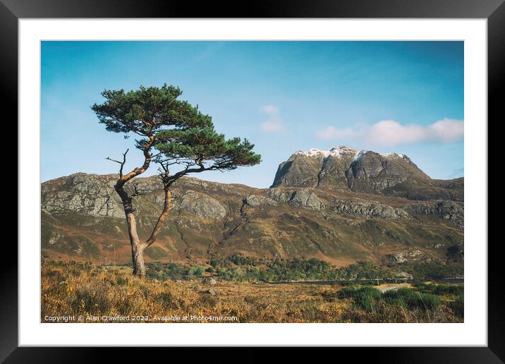 Slioch and Pine Tree, Scotland Framed Mounted Print by Alan Crawford