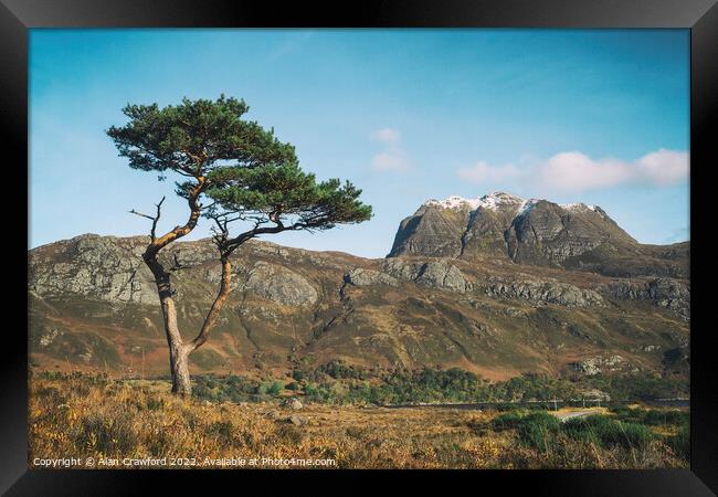 Slioch and Pine Tree, Scotland Framed Print by Alan Crawford
