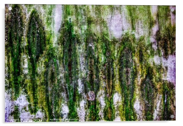 Ancient Chinese Wall Abstract Garden Humble Administrator Suzhou Acrylic by William Perry