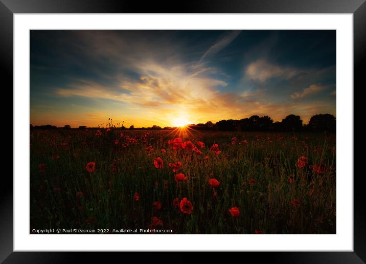 Poppies at sunset Framed Mounted Print by Paul Stearman