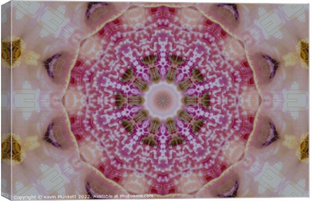 kaleidoscope of colour  Canvas Print by Kevin Plunkett