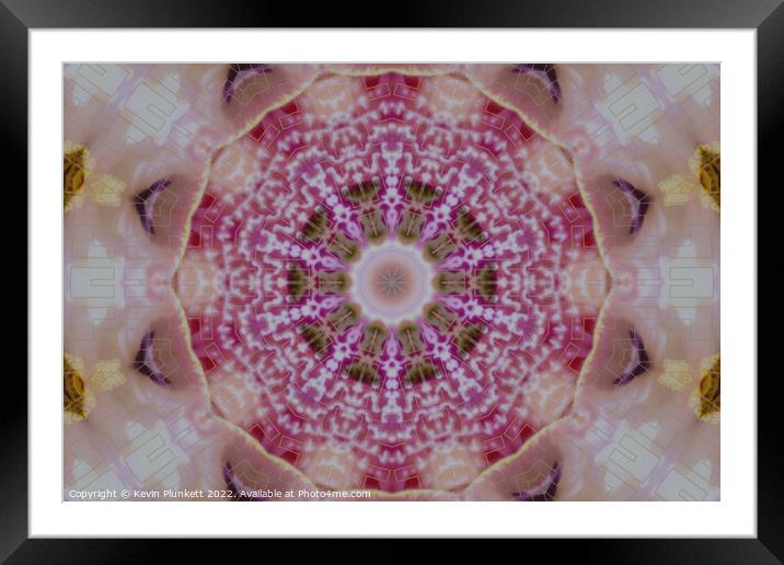 kaleidoscope of colour  Framed Mounted Print by Kevin Plunkett