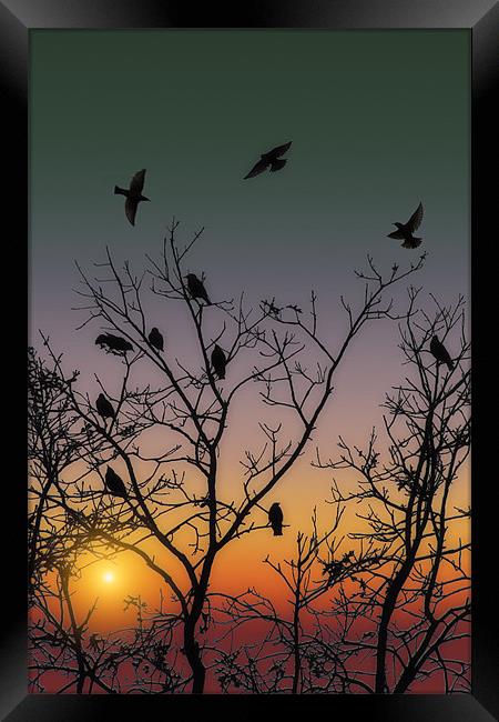 OCTOBER SUNSET Framed Print by Tom York