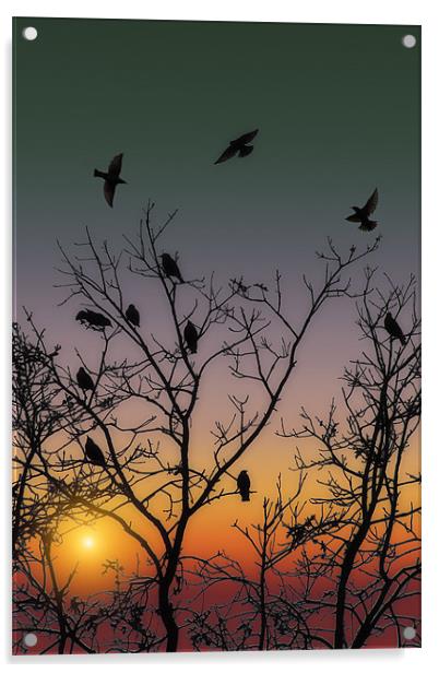OCTOBER SUNSET Acrylic by Tom York