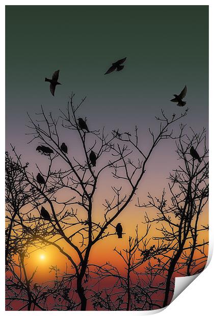OCTOBER SUNSET Print by Tom York