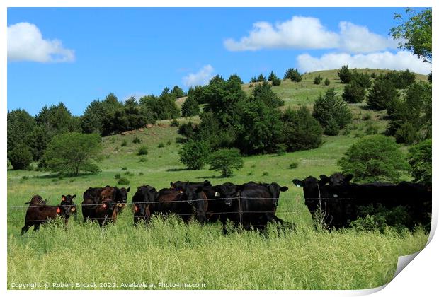 Outdoor grass with cows and trees with sky Print by Robert Brozek
