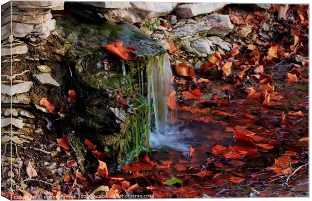 Waterfall with fall leaves, moss and rock closeup Canvas Print by Robert Brozek