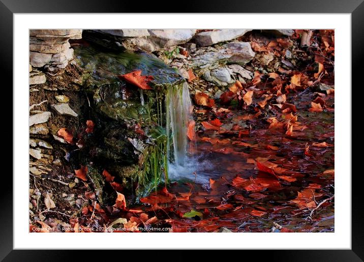 Waterfall with fall leaves, moss and rock closeup Framed Mounted Print by Robert Brozek