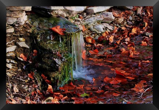 Waterfall with fall leaves, moss and rock closeup Framed Print by Robert Brozek