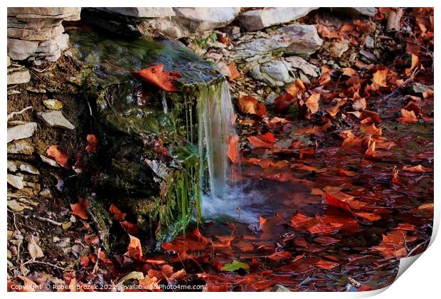 Waterfall with fall leaves, moss and rock closeup Print by Robert Brozek