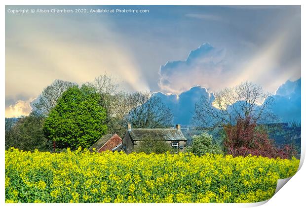 Golden Fields and Silver Linings Print by Alison Chambers
