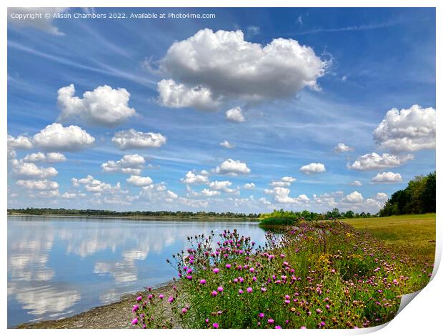 Anglers Country Park Print by Alison Chambers