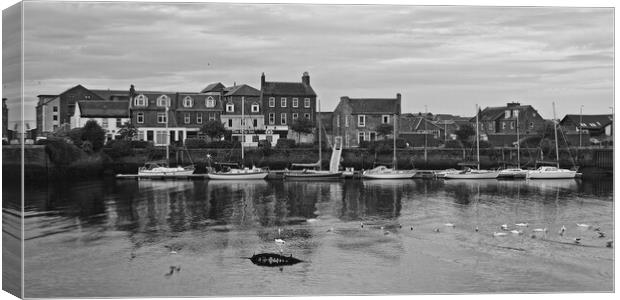 Ayr marina on River Ayr Canvas Print by Allan Durward Photography