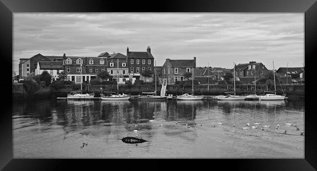 Ayr marina on River Ayr Framed Print by Allan Durward Photography