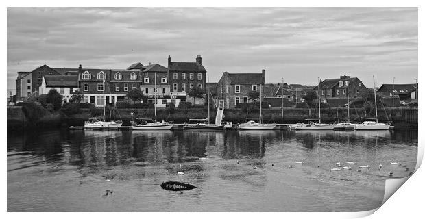 Ayr marina on River Ayr Print by Allan Durward Photography