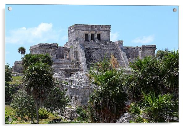 Mayan ruins at Tulum Acrylic by Antony Robinson