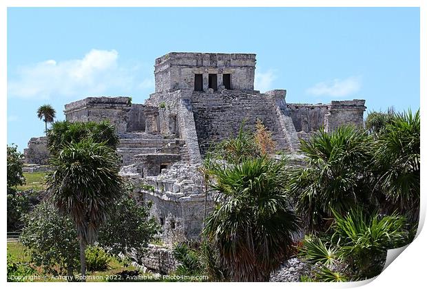 Mayan ruins at Tulum Print by Antony Robinson