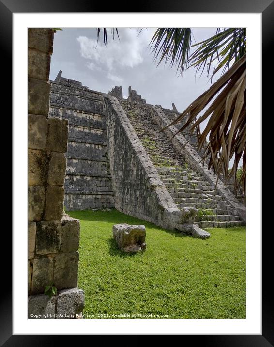 Mystical Mayan Jungle Ruins Framed Mounted Print by Antony Robinson