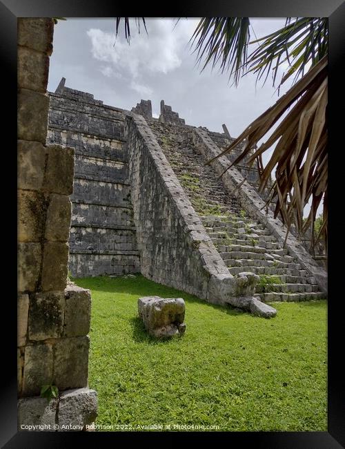 Mystical Mayan Jungle Ruins Framed Print by Antony Robinson