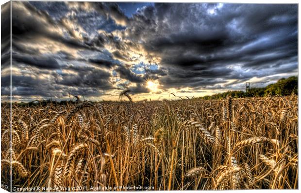 HDR field. Canvas Print by Nathan Wright