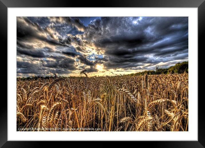 HDR field. Framed Mounted Print by Nathan Wright