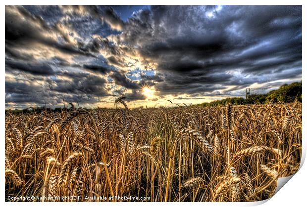 HDR field. Print by Nathan Wright