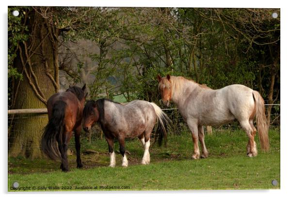 Retired Horses & Pony Acrylic by Sally Wallis