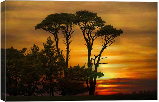 Sunset in Cornwall. Canvas Print by Irene Burdell