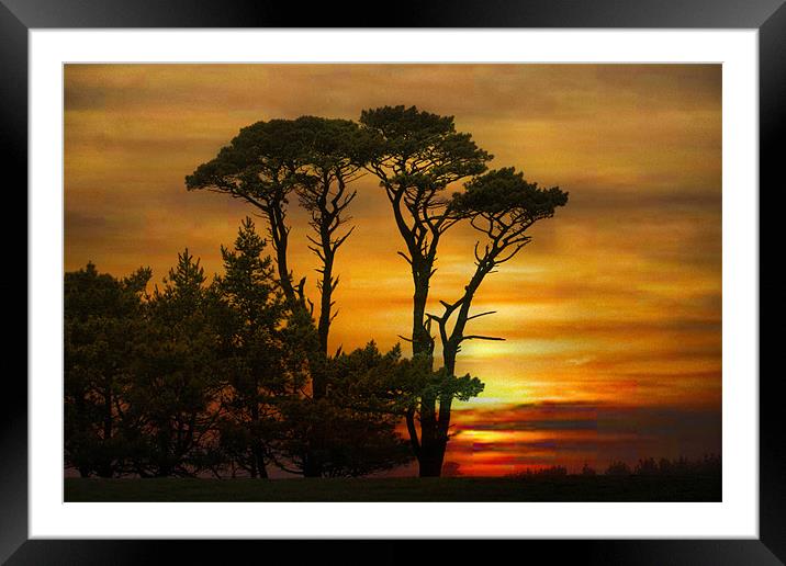 Sunset in Cornwall. Framed Mounted Print by Irene Burdell