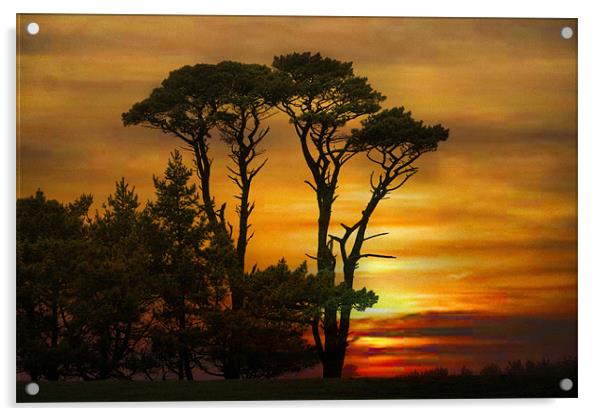 Sunset in Cornwall. Acrylic by Irene Burdell