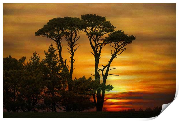 Sunset in Cornwall. Print by Irene Burdell