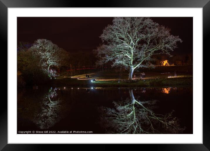 White Floodlit Trees Reflecting on a Lake. Framed Mounted Print by Steve Gill