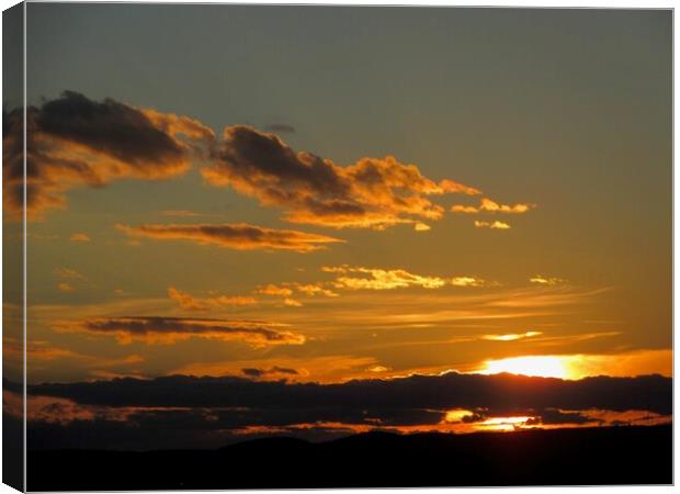 Golden sunset Canvas Print by Stephanie Moore